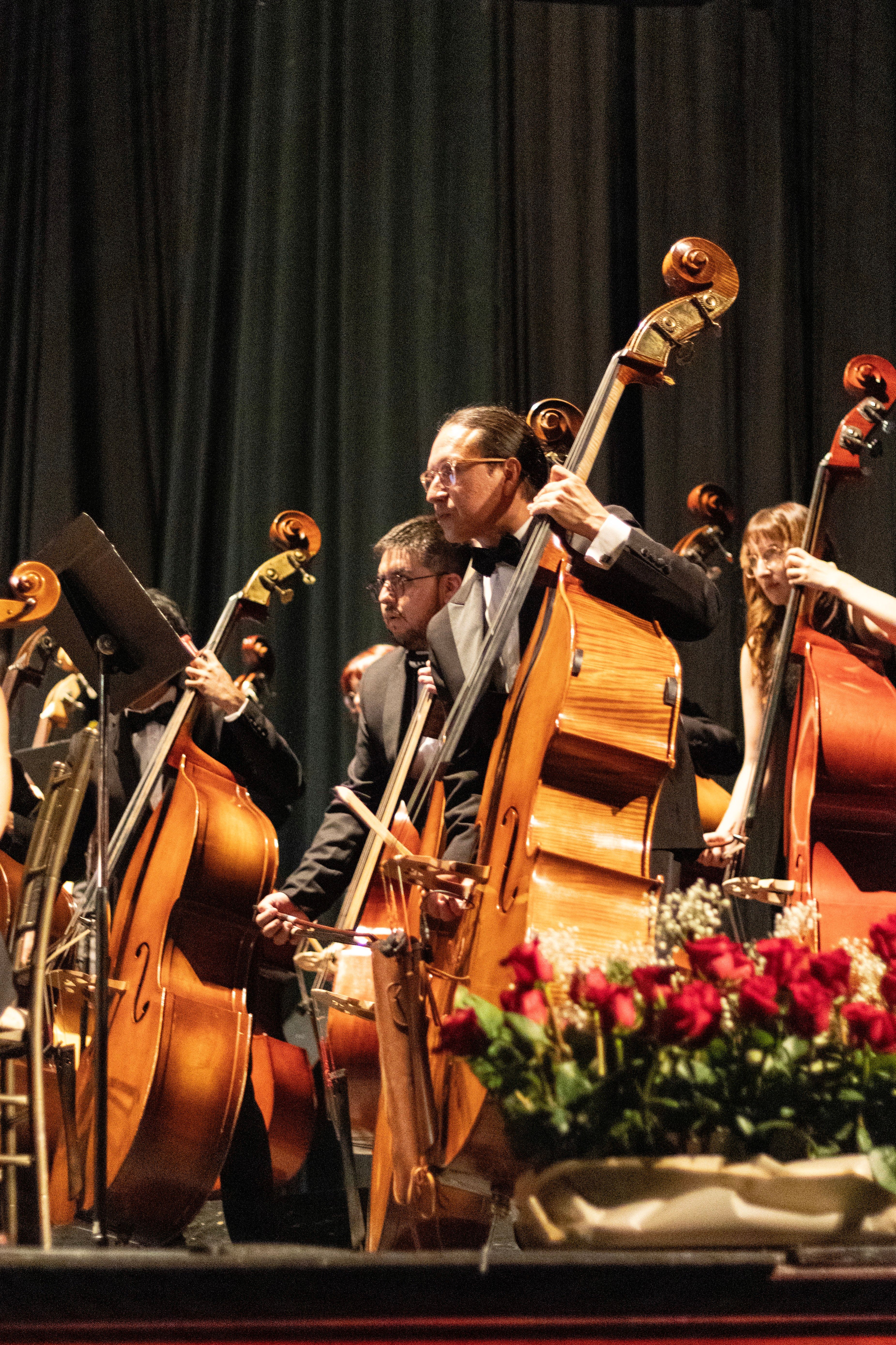 Contrabajistas de la orquesta junto a flores rojas